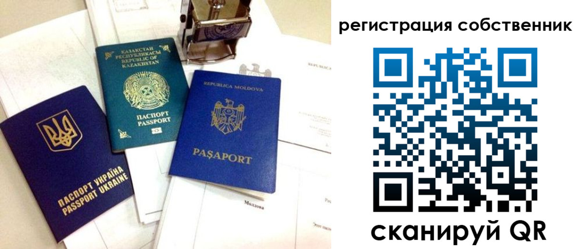 временная регистрация поиск в Александрове